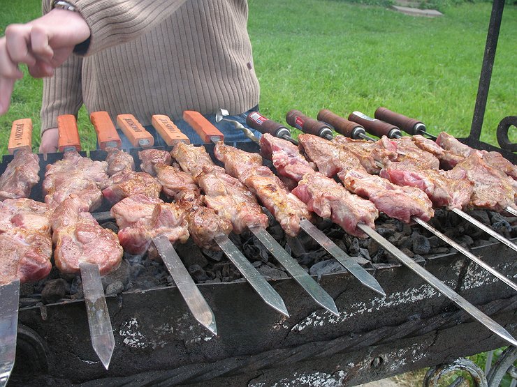 Shashlik_MK.jpg.740x555_q85_box-0%2C0%2C