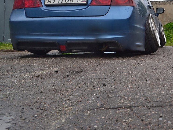 25 MSprut