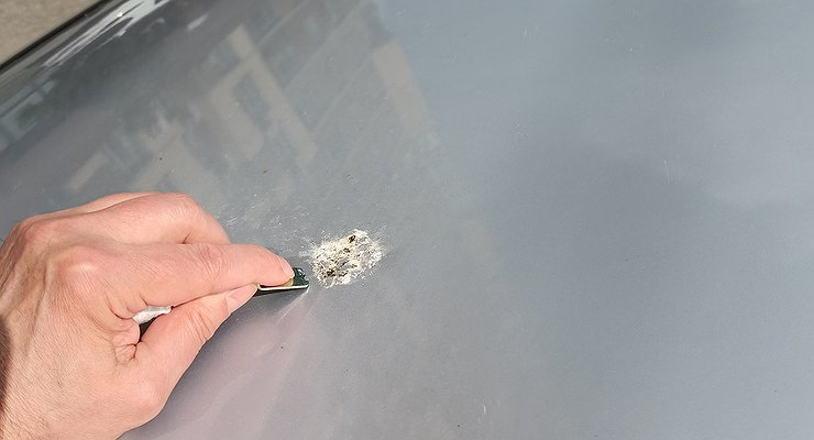 Why does the bodywork need special care in summer?