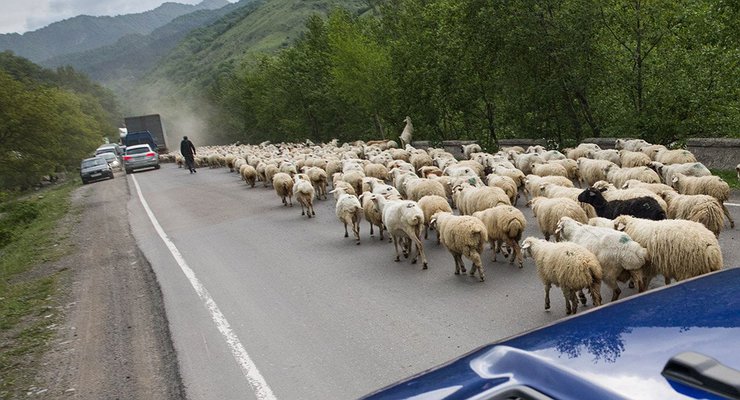 Stop or pay: many kilometers of traffic jams on the Russian-Georgian border