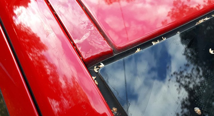 How to understand the paint blisters on the car body that the car was repaired?