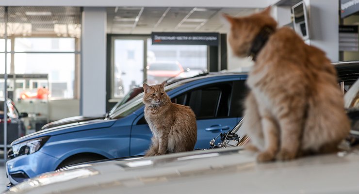 Why prices for Chinese cars in Russia will soon rise sharply