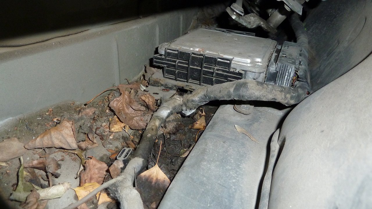 5 areas under the hood that are essential for regular cleaning