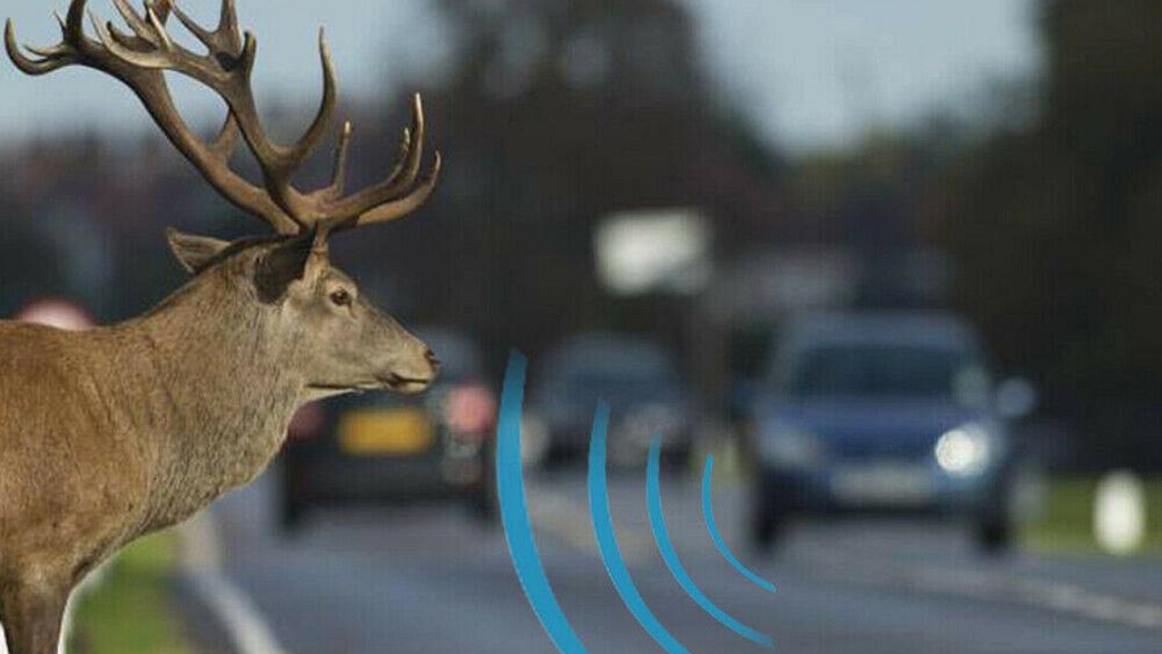 Well, if you are going on a long car trip, you should put a whistle on the bumper