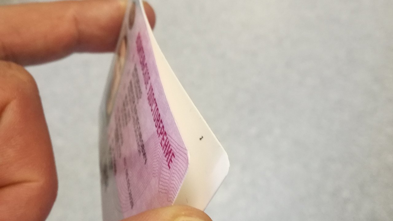 The State Duma approved new rules for obtaining a “driver’s license”
