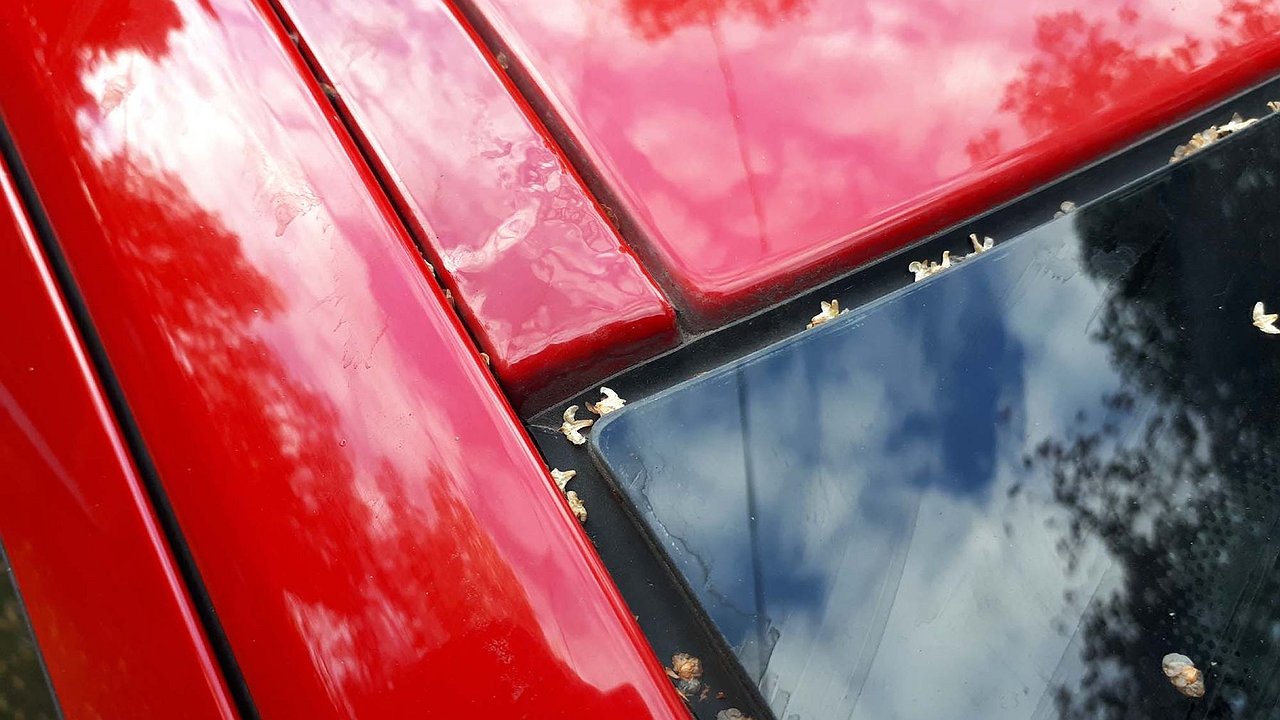 5 not obvious places on the bodywork that need to be checked now