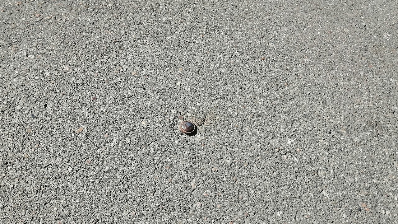 Who and why is hammering nails into the asphalt everywhere