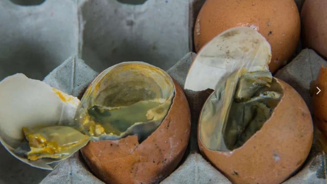 Why does the car interior smell like rotten eggs?