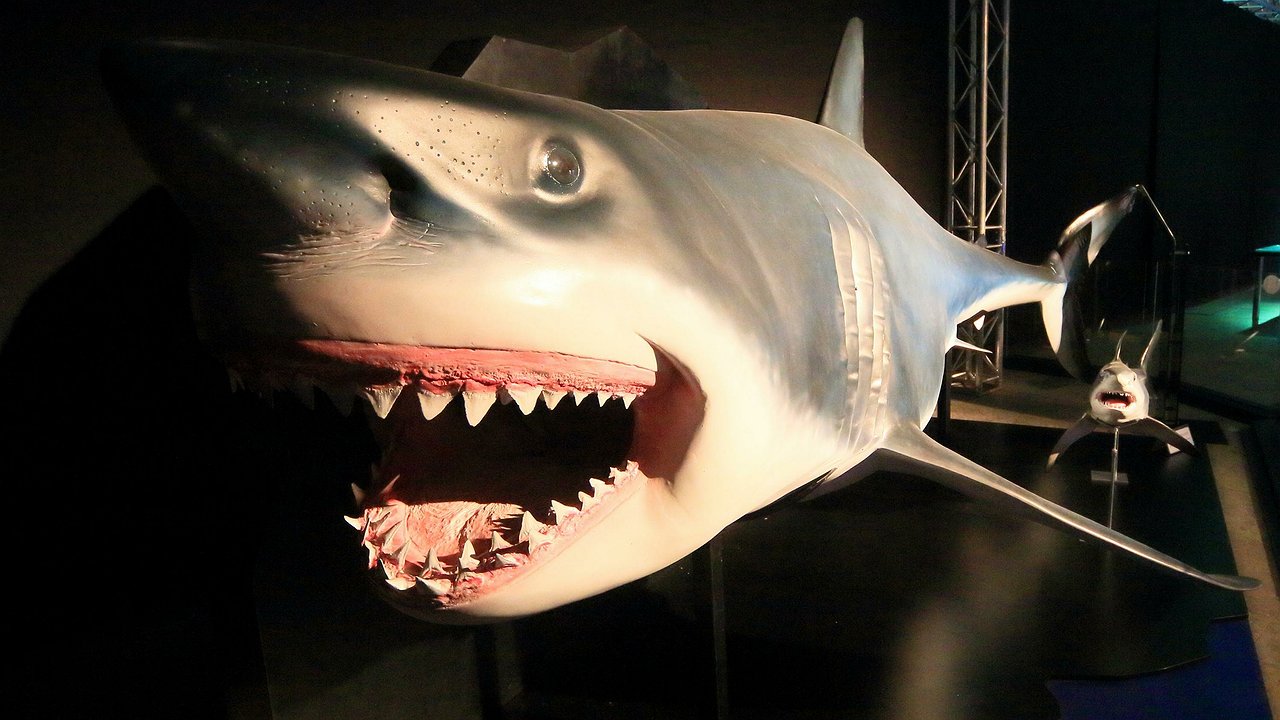 What hidden functions does the ‘shark fin’ on the roof of a car perform?