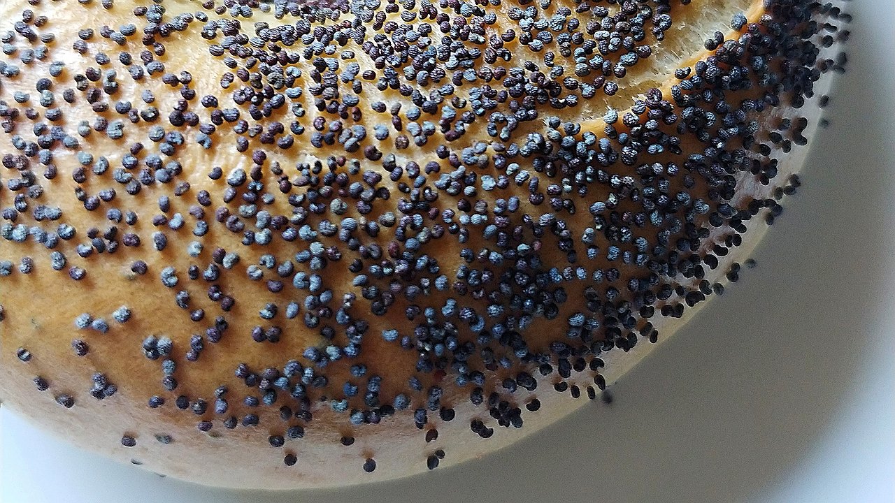 The Supreme Court Allows: How You Can Lose Your “Rights” to Eating a Poppy Seed Bun