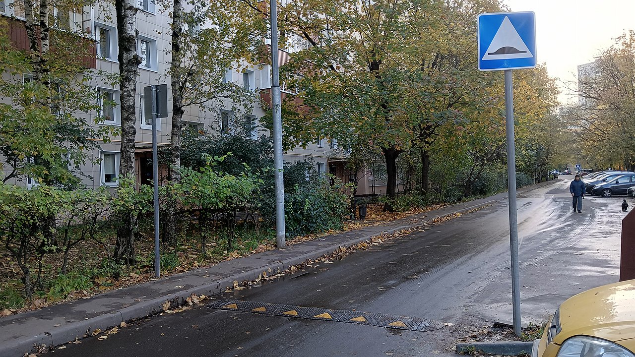 Why don’t skilled drivers slow down to the minimum speed at speed bumps?