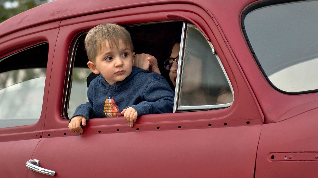 Delegates propose launching the Affordable Car preference program for large families