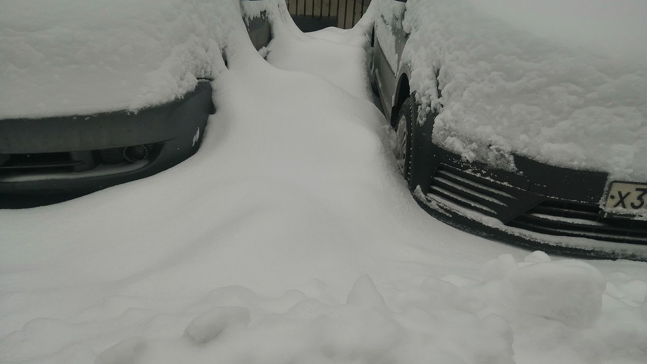 Freezing cold: why is it easier to drive in snowfall than to park?