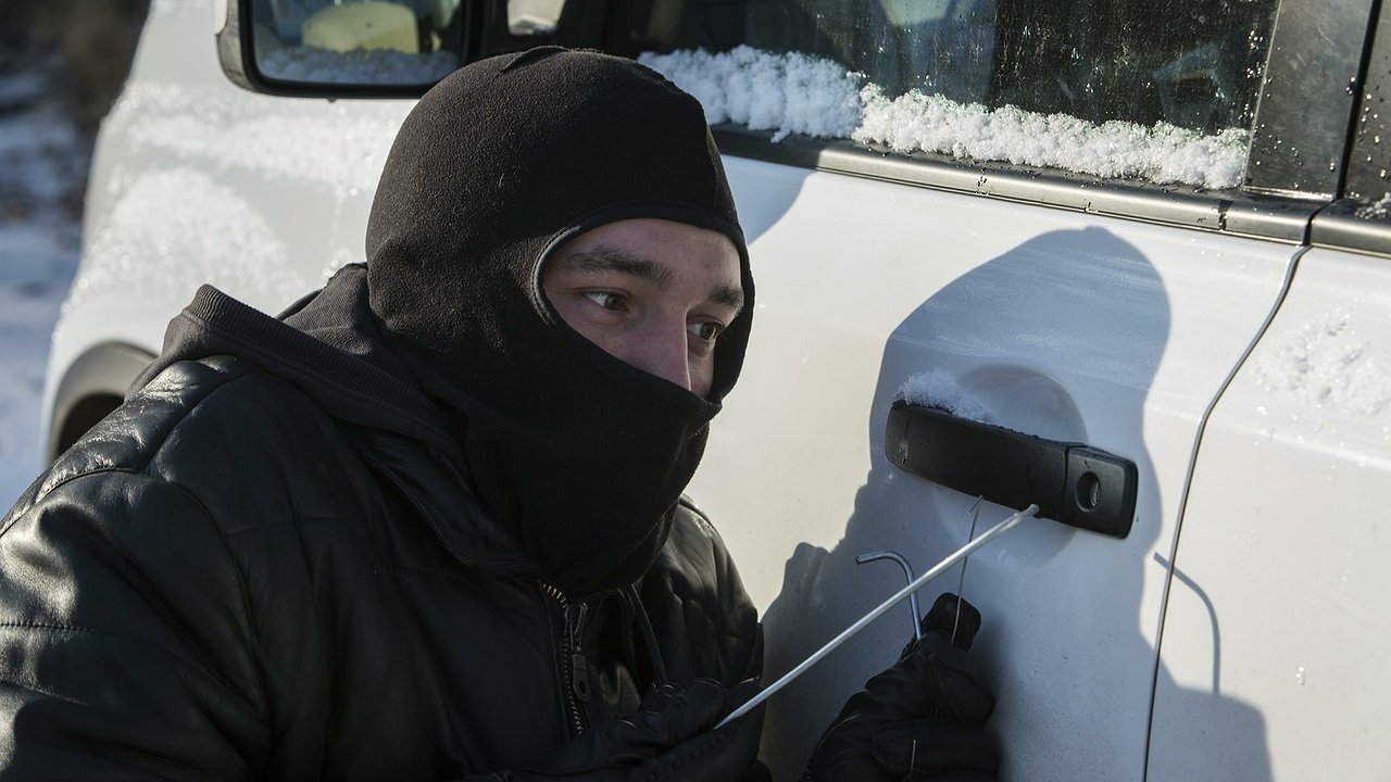 The number of car thefts in Russia has fallen sharply