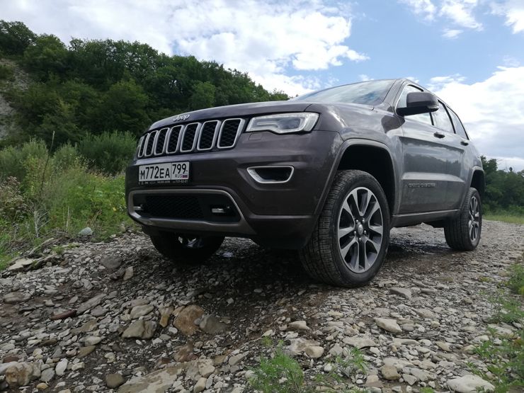 В брянской области волки загрызли двух пассажиров авто