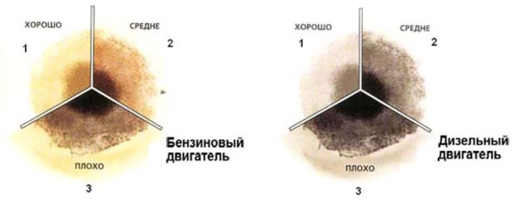 Реферат: Все, что надо знать про масла