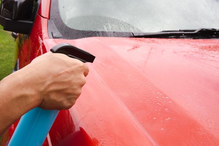 Как защитить кузов автомобиля от тополиных почек
