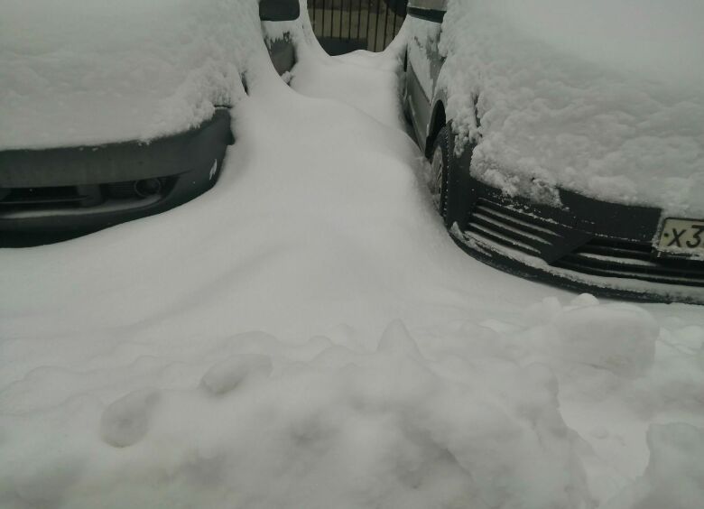 Изображение По уху мороз: почему в снегопад на машине ездить легче, чем парковаться