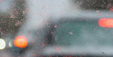 фото globallookpress.com