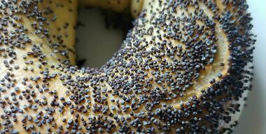 фото spacebagels.com