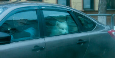 фото globallookpress.com