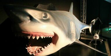 Фото globallookpress.com