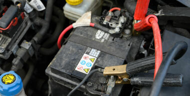 фото globallookpress.com