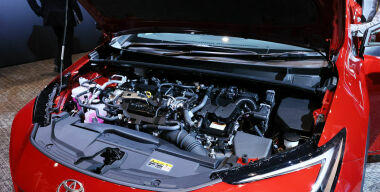 Фото globallookpress.com