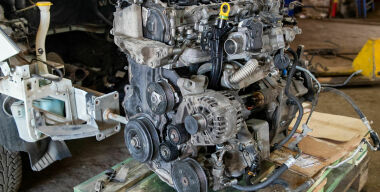 фото globallookpress.com