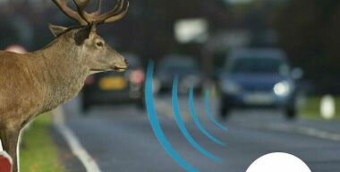 Фото производителя.