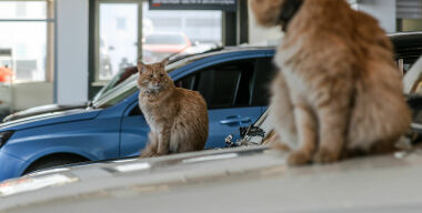 фото globallookpress.com