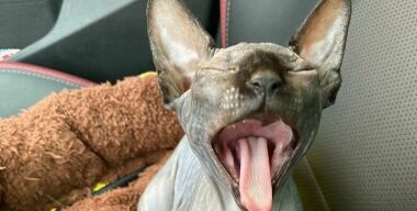 Фото: АвтоВзгляд