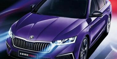 Всем на зависть: в Россию привезли необычную Skoda Octavia