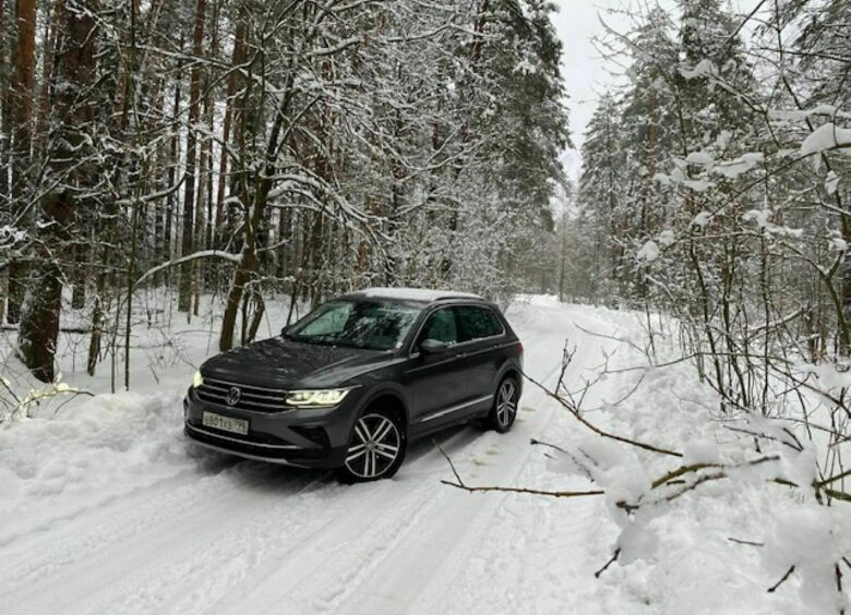 Изображение ГАЗ просит российские власти не выпускать Volkswagen из страны