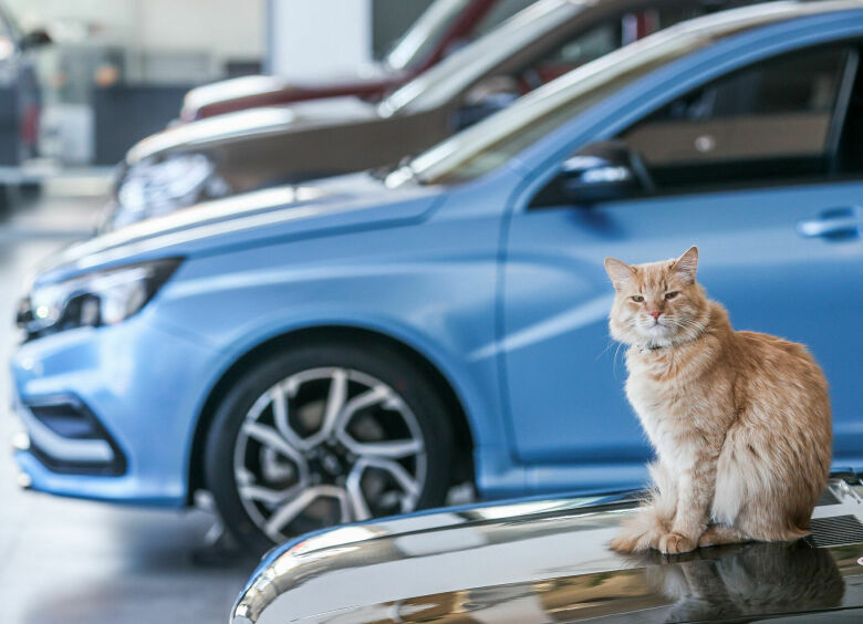 Изображение Февраль перемен: китайские авто захватывают рынок, но LADA пока держится