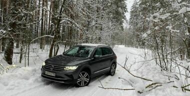 ГАЗ просит российские власти не выпускать Volkswagen из страны