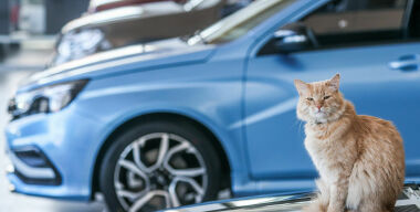 Февраль перемен: китайские авто захватывают рынок, но LADA пока держится