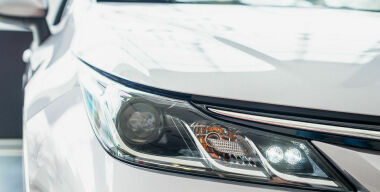 Фото: freepik.com