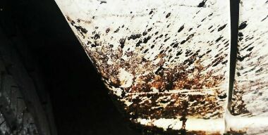 Масло, битум, гудрон: как дешево и безопасно убрать любые следы с авто