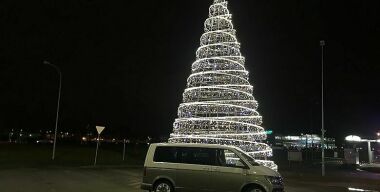 Как за перевозку ели получить несколько штрафов и даже лишиться «прав»