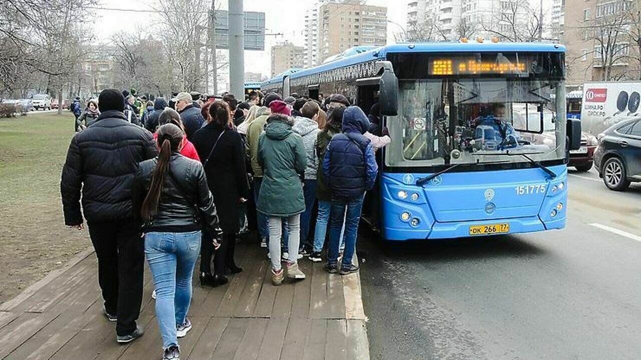 Водитель городского транспорта. Автобус. Водитель автобуса. Самый высокий автобус. Выделенная полоса для общественного транспорта.