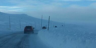 Зачем на обочинах многих дорог ставят высокие тонкие шесты