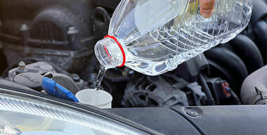 Фото: Shutterstock.com