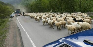 Фото: АвтоВзгляд