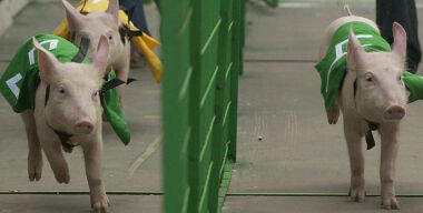 Новая волна бегства автокомпаний из России, не закрывающих за собой двери