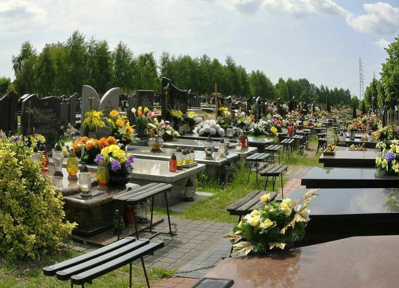 Изображение Байки из склепа: почему сегодня опасно посещать кладбище на своей машине