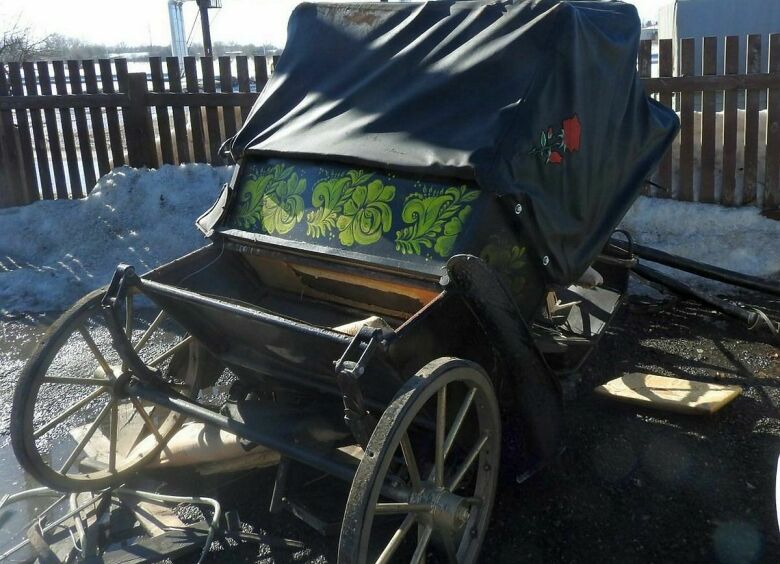 Изображение Начальник суздальской полиции покалечил туристов, протаранив конную повозку