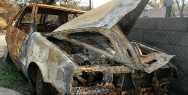 Вандализм, животные, стихия: какие напасти преследуют автовладельцев в разных регионах