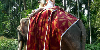 Куда на своих автомобилях массово поедут россияне на новогодних каникулах