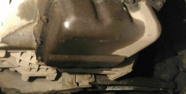 фото: соцсети